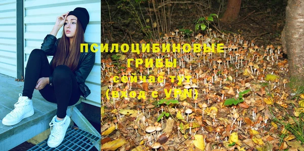 метамфетамин Ельня