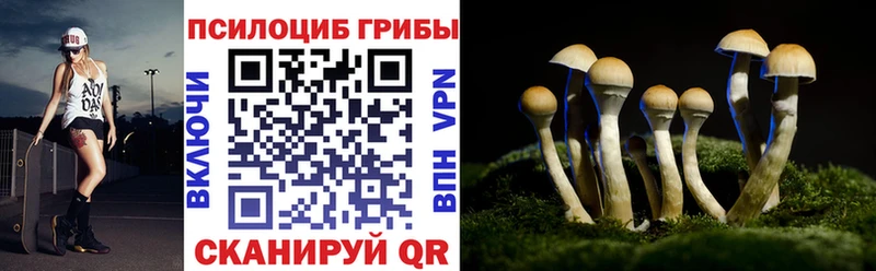 Псилоцибиновые грибы мухоморы  Семёнов 